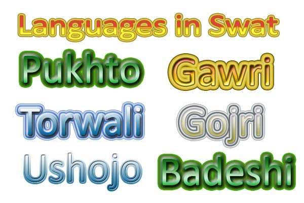 Linguists urge government to promote Swati languages