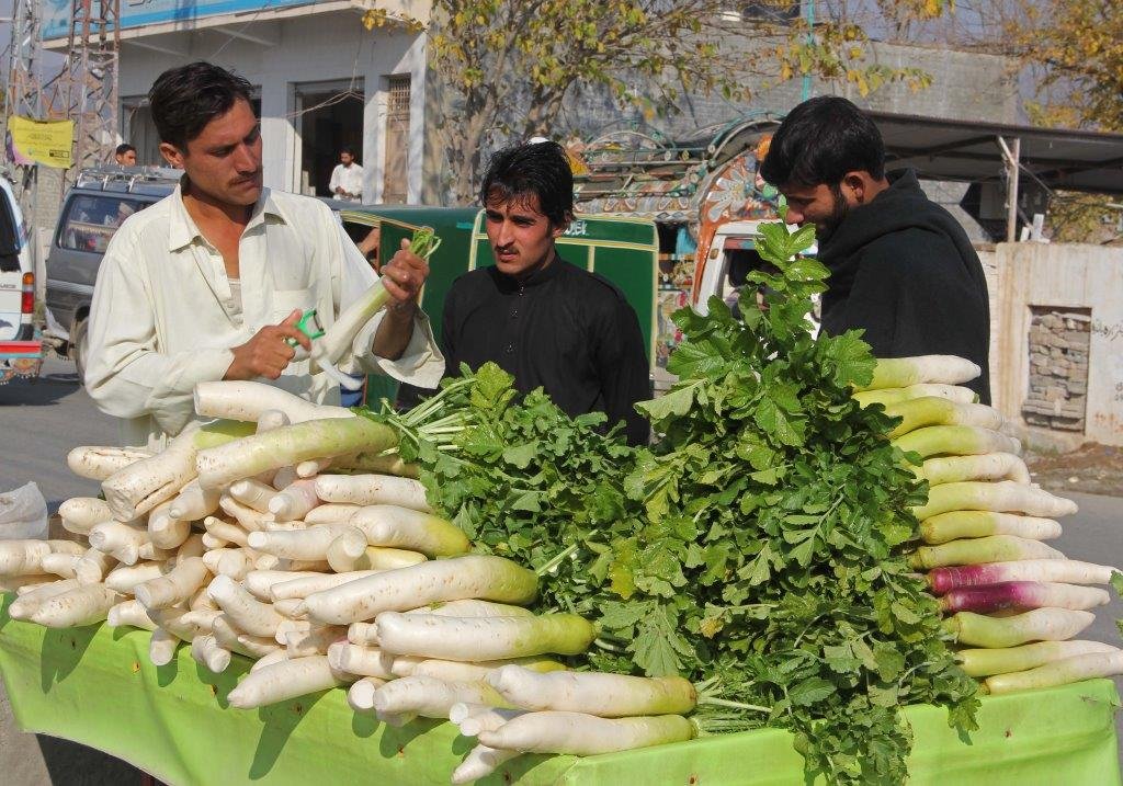 For white radish, come to Kanju Swat