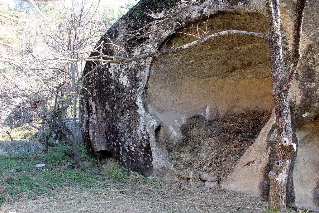 Buddhist rock inscriptions, full of wisdom and guidelines