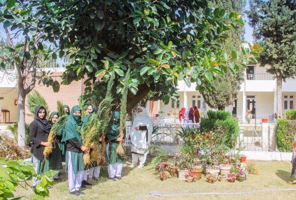 Tree plantation, beautification drive begins in Swat girls college