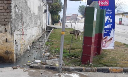 WSSC failed to clean drains in College Colony, Saidu Sharif