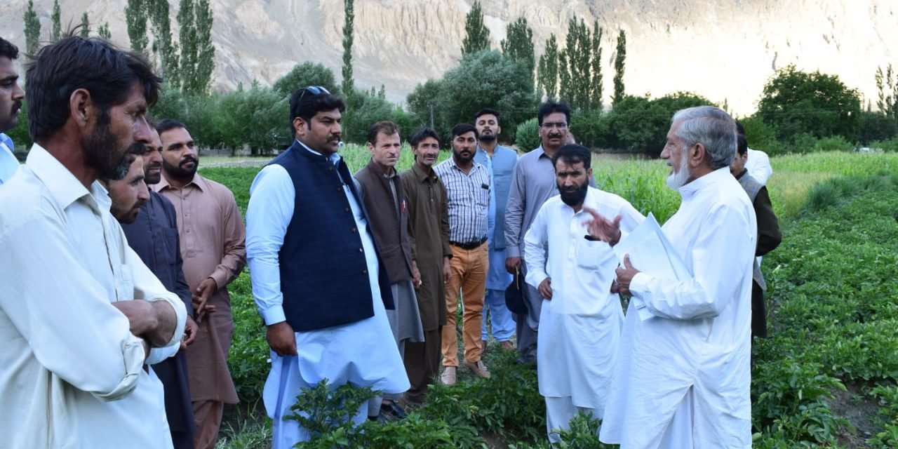 SEED USERS VISITED SEED POTATO FIELDS IN GILGIT BALTISTAN