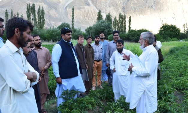 SEED USERS VISITED SEED POTATO FIELDS IN GILGIT BALTISTAN