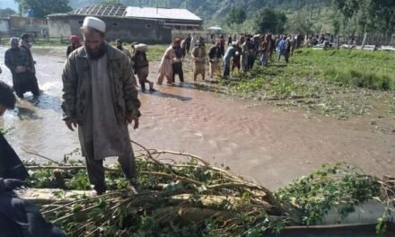 Environmental Crisis in Swat Valley Caused Heavy Agricultural Losses