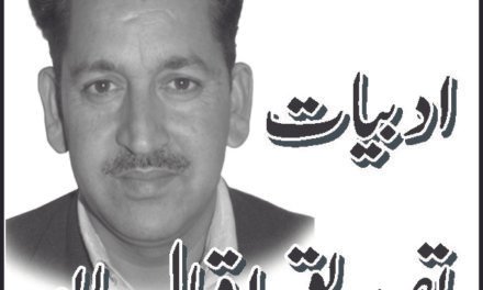 شہاب اور ان کی کتاب