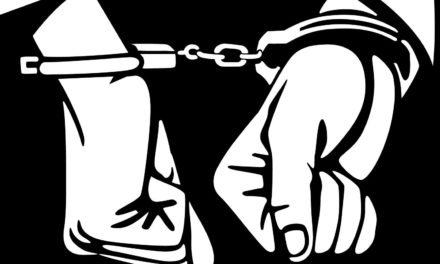 ملک مارکیٹ مینگورہ میں بیٹری کے دکان سے چوری کرنے والے ملزمان گرفتار