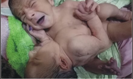 سوات کوکارئی میں کن جوائن  بچوں کی پیدائش