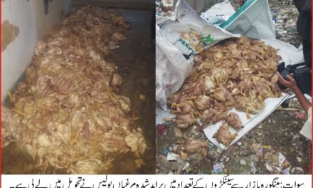 مینگورہ کے مصروف ترین بازارمیں کئی دوکانداروں سے مردہ مرغیاں برامد