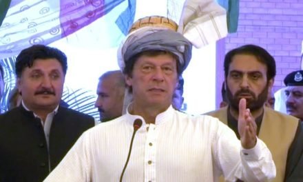 منظور پشتین کے مطالبات جائز ہیں، عمران خان