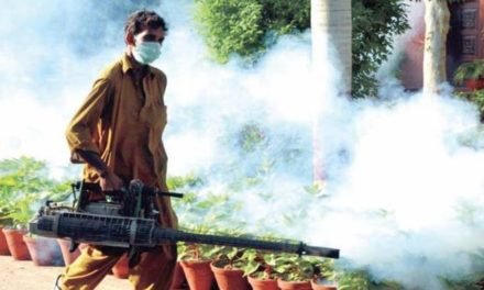 سوات میں محکمہ صحت نے ملیریا اور ڈینگی جیسے موذی امراض اور مچھروں پر بروقت قابو پالیاہے، محی الدین