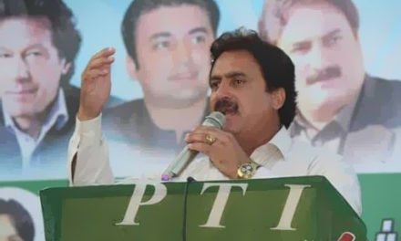 سوات کےزراعت کو ترقی دینے کے لیے مقامی کاشتکاروں کی بھرپور معاونت کی جائے گی،محیب اللہ خان