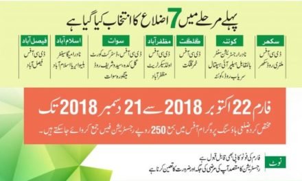 نیا پاکستان ہاؤسنگ پروگرام کا پہلا مرحلہ شروع, پہلے دن ایک لاکھ 25 ہزار فارم ڈاؤن لوڈ