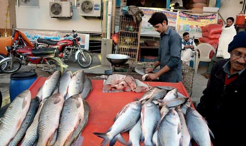 سوات: پنجاب اور دیگر علاقوں سے لائی گئ مچھلیوں اور مضر صحت گوشت کی کھلی عام فروخت