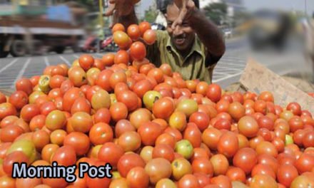 سوات میں ٹماٹر کی اونچی اڑان، مارکیٹ میں فی کلو قیمت120سے بڑھ گئی
