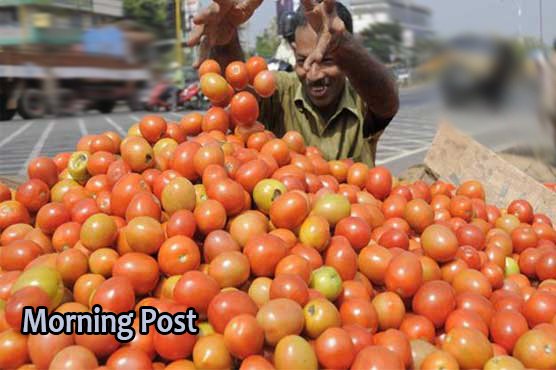 سوات میں ٹماٹر کی اونچی اڑان، مارکیٹ میں فی کلو قیمت120سے بڑھ گئی