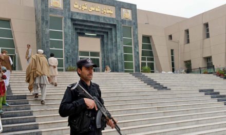درختوں کی کٹائی:سیکریٹری جنگلات اور چیف کنزرویٹر کو مالم جبہ اور گبین جبہ  کی تفصیلی رپورٹ پیش کرنے کا حکم
