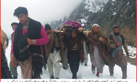 مٹلتان سے مہوڈنڈ تک پلوگاہ گاؤں کازمینی راستہ برف باری کی وجہ سے گذشتہ تین ماہ سے بند،لوگوں کوسخت مشکلات