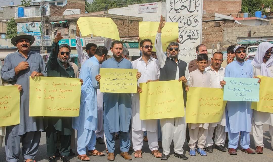 سوات ،سرکاری اہلکار درختوں کو تحفظ دینے کے بجائے درختوں کے دشمن بن گئے،سول سوسائٹی کا شد ید رد عمل کا اظہار