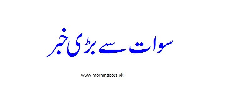بڑی خبر، اے این پی سے تعلق رکھنے والے اہم سیاسی خاندان نے پارٹی سے علیحدگی اختیارکرنے کا فیصلہ کرلیا