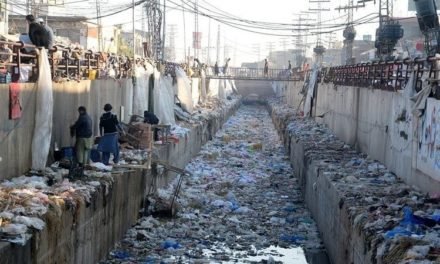 چند دنوں بعد صوبے بھر میں پلاسٹک بیگز کے استعمال کیخلاف کریک ڈاؤن شروع کیا جائیگا،وزیر اعلی محمود خان