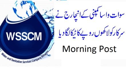 سوات واسا کمپنی کے انچارج نے سرکار کولاکھوں روپے کا ٹیکالگادیا،
