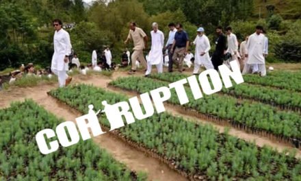 بلین ٹری سونامی ، سوات میں صرف ایک چیک کے ذریعے 25لاکھ 57کی کرپشن