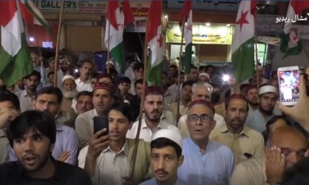 پختون خواہ ملی عوامی پارٹی کا سانحہ وزیرستان کے خلاف مینگورہ میں احتجاجی مظاہرہ, پی ٹی ایم  کارکنوں کی بھی شرکت