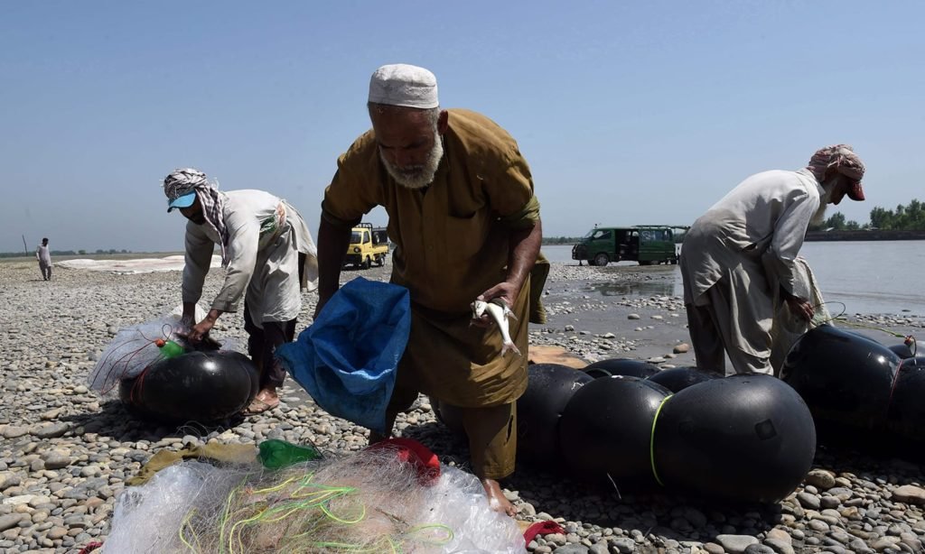 سوات غیر قانونی مچھلی کا شکار کرنے والوں کیخلاف کریک ڈاون،غیر قانونی شکاری آلات برامد