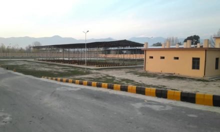 سوات نیوجنرل بس سٹینڈ کی نیلامی میں تاخیر پیدا کرنے والوں کو بے نقاب کرنے کا اعلان