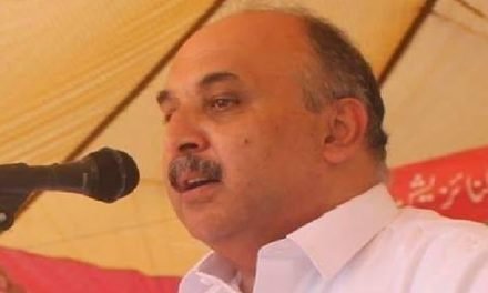 یوم مزدور کا دن منانا  بھی مزدوروں  کیساتھ یک جہتی ہے،سلیم الرحمان