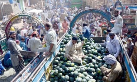 سوات،آڑھتیوں کو 19 جون کو نیو سبزی منڈی منتقل ہونے کی ہدایت، لاؤڈ سپیکر کے ذریعے بھی اعلانات