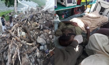 افسوسناک خبر،کالام مٹلتان میں مکان پر پہاڑی تودہ گرنے سے 2 خواتین سمیت 6 افراد جاں بحق
