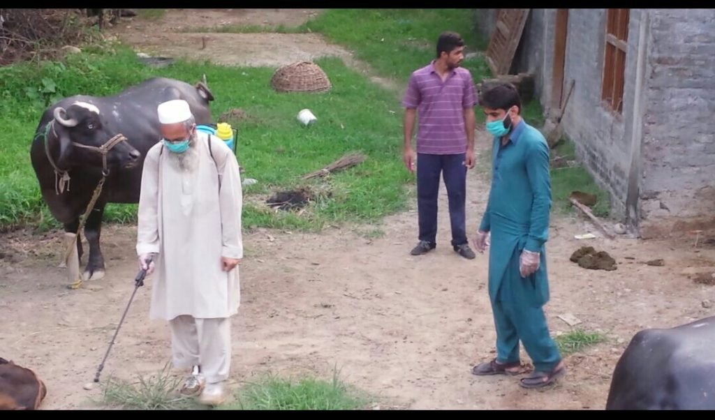 توتانوبانڈئی میں کانگو وائرس کے خلاف سپرے مہم کا آغاز