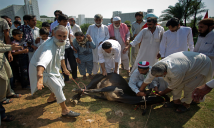 سوات میں عیدالاضحی پر حلال فوڈ اتھارٹی کا ہدایت نامہ جاری، شہریوں کا خیرمقدم