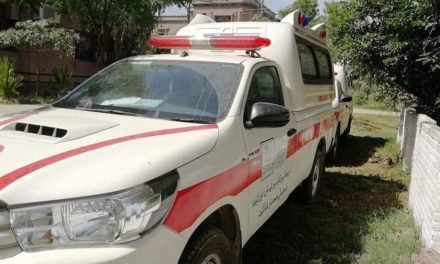 پہاڑی اور دشوار گزار علاقوں میں خواتین مریضوں کیلئے فوربائی فور ایمبولینس سروس فیصلہ