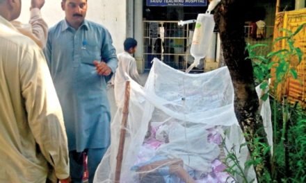 سوات ،ڈینگی کا وار جاری،مزید درجنوں  کیس سامنے آگئے
