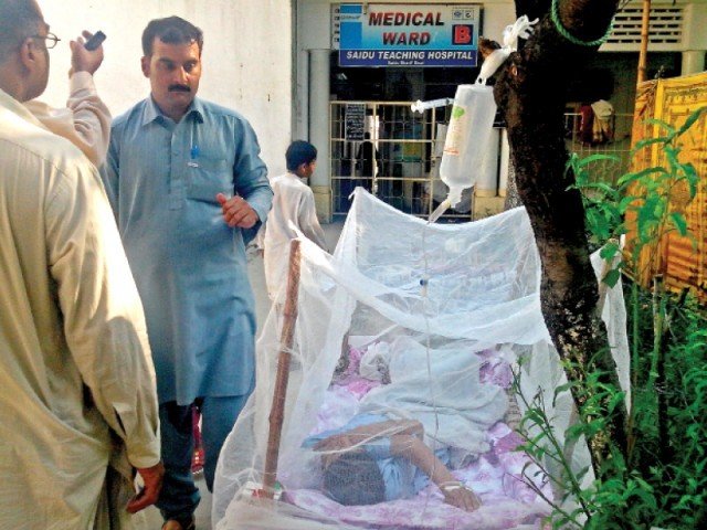 سوات میں ڈینگی نے دوبارہ سراٹھالیا،مریضوں کے لئے خصوصی وارڈ قائم