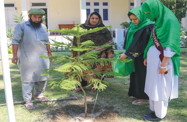 ہر طالبہ اور استانی کالج میں ایک ایک پودہ لگا کر مفید پاکستانی ہونے کا ثبوت دیں،ڈاکٹر نرگس آرا