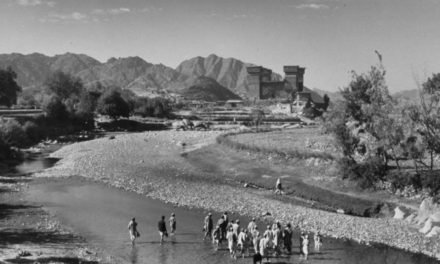 سواتی اور یوسف زئی قبیلے میں اختلافات ختم ہونے کے لئے ودودیہ ہال میں  کنونشن منعقد