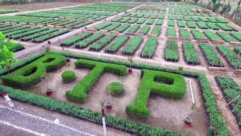 بلین ٹری سو نامی ،مزدوروں کے لئے خوشخبری، نو ماہ سے بند 2 ارب کے واجبات منظور
