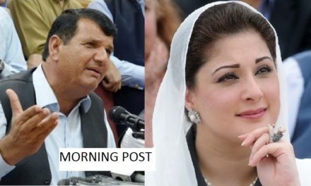 مریم نواز  کے حق میں فیصلے کا خیرمقدم کرتا ہو،امیر مقام