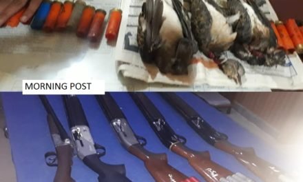 سوات،منگلور کی حدود میں شکار کے نام پر پرندوں کی نسل کشی کرنے والے 5افراد گرفتار