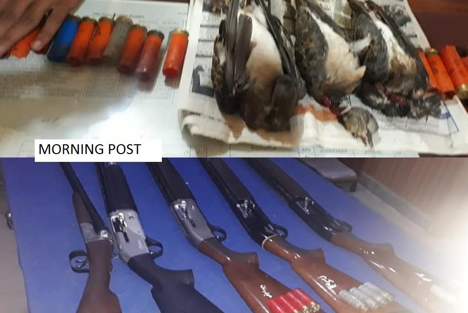 سوات،منگلور کی حدود میں شکار کے نام پر پرندوں کی نسل کشی کرنے والے 5افراد گرفتار