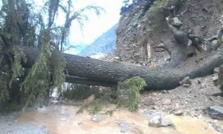 سوات سیاحتی وادی کالام میں لینڈ سلائیڈنگ سے مہوڈنڈ کا راستہ بند