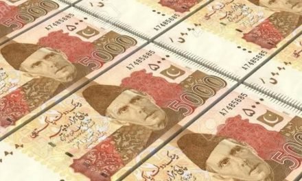 سوات میگا مالی سکینڈل متاثرین کا گرینڈ جرگہ، نیب جانے کا اعلان