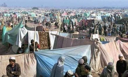 کیا مہاجر ہی مسائل کی جڑ ہیں؟