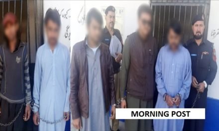 سوات پولیس کی کامیاب کاروائی، منشیات سمگل کرنے کی کوشش نا کام