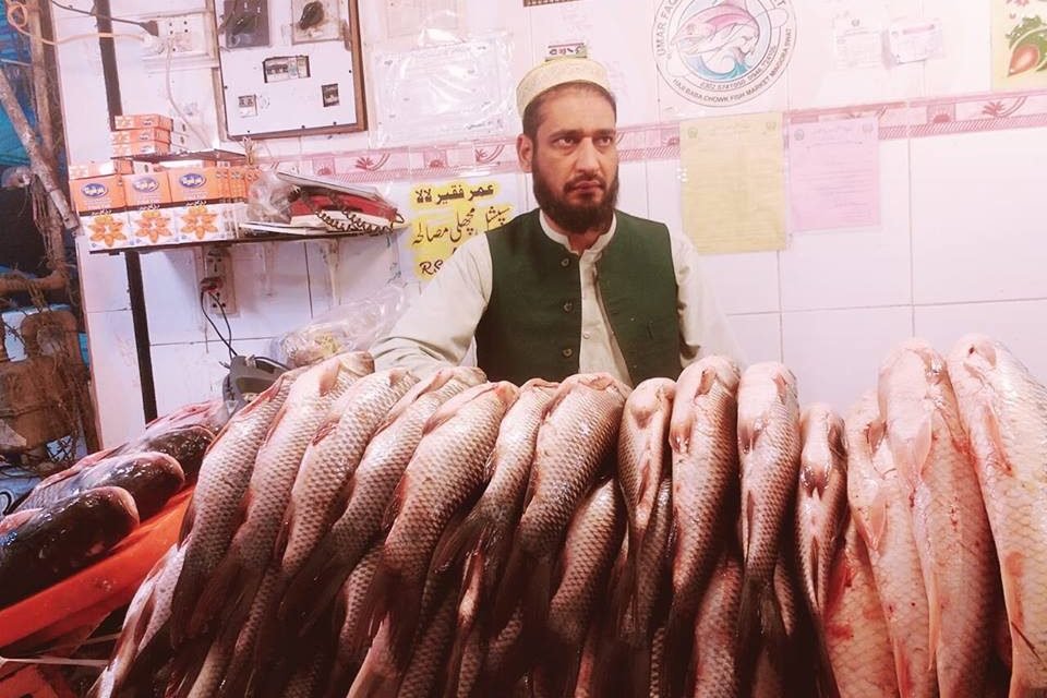 سوات ،سردیوں کی آمد کے ساتھ مینگورہ شہر سمیت مختلف علاقوں میں مچھلی کی فروخت میں اضافہ ہوگیا