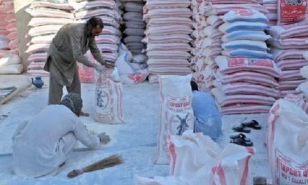محکمہ خوراک خیبر پختونخوا کا فلور ملز کے ساتھ ملی بھگت میں ملوث 3 اہلکار معطل