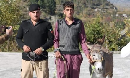 مٹہ ڈوغلگو میں بیٹا جلاد بن گیا، 8 ماہ قبل والد  کو قتل کرکے لاش جنگل میں دفنادی